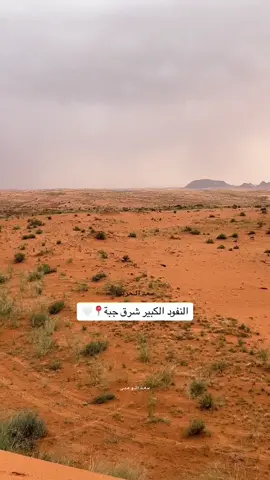 هذا اليوم #اكسبلورexplore ##في هذا اليوم 