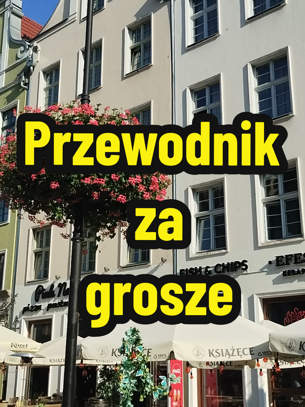 Kiedy jedziesz na wycieczkę i bierzesz najtańszego przewodnika  #zzyciawzięte #wakacje #zwiedzanie #przewodnik #wycieczka 