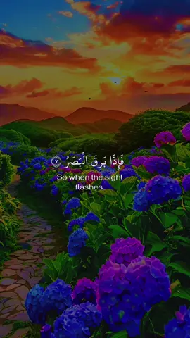 #اللهم_صلي_على_محمد_وأل_محمد❤ #سبحان_الله_الحمدلله_لااله_الا_الله #لا_اله_الا_الله_محمد_رسول_الله_❤️ #استغفرالله_العظيم_واتوب_اليه #قران_كريم_ارح_سمعك_وقلبك 