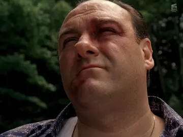 #tonysoprano 
