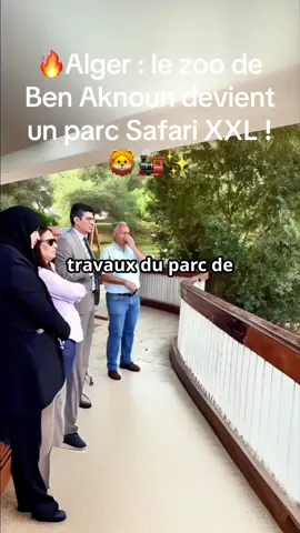 304 hectares, train, lac, hôtels… Le nouveau Ben Aknoun va surprendre tout le monde ! #algeria #info #algerie #alger #dz