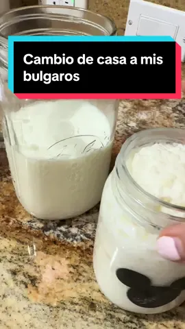 Hoy tocó cambiar a mis búlgaros a una mansión😁