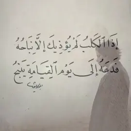 شباب احتاج  تعليقات#قتباسات #مقولات #pov #fyp #philosophy 