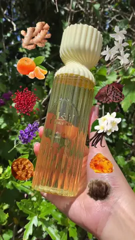 Perfume mist for Lattafa’s Angham. @Oudlash #perfume #perfumetiktok #fragrance #gourmandperfume #tiktok Top notes are Ginger, Mandarin and Pink Pepper; middle notes are Lavender, Praline, Cacao and Jasmine; base notes are Vanilla, Amber and Musk.