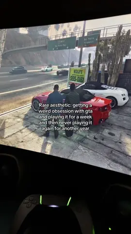 #foryou #rareaesthetic #viral #gta5 #obsession 