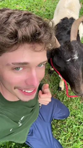 #viraltiktok 