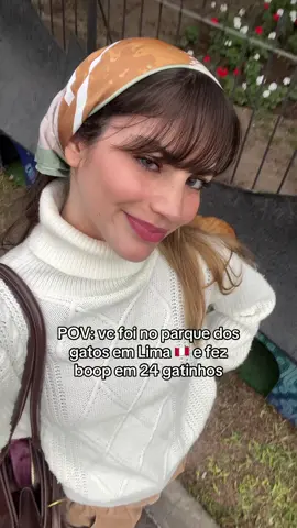 nunca fui tão feliz 🤩🐈🐈‍⬛ #parquekennedy #miraflores #limaperu🇵🇪 #gatinhos #gatostiktok 