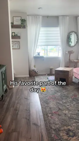Sunday Vlog with the boys #cattok #catadventures #fyp 