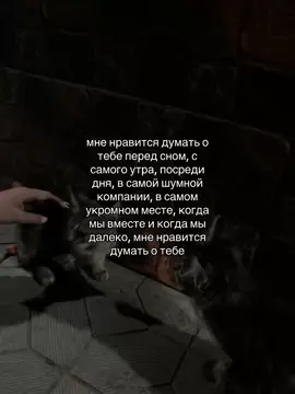 вбей в поиск тг: aaamooory (цитаты, фото, видео)  #щп #amorfati #грустныецитаты #цитаты