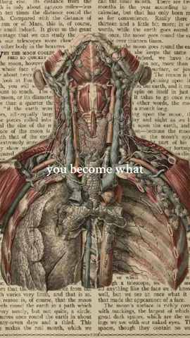 You become what you think about🧠 #psychologyfacts #psychcology #neuroscience #interesting #lawofattraction #youbecomewhatyouthinkabout 