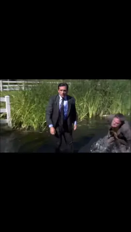 #TikTokSceneStealerContest #theoffice #foryou #accident #fypシ 