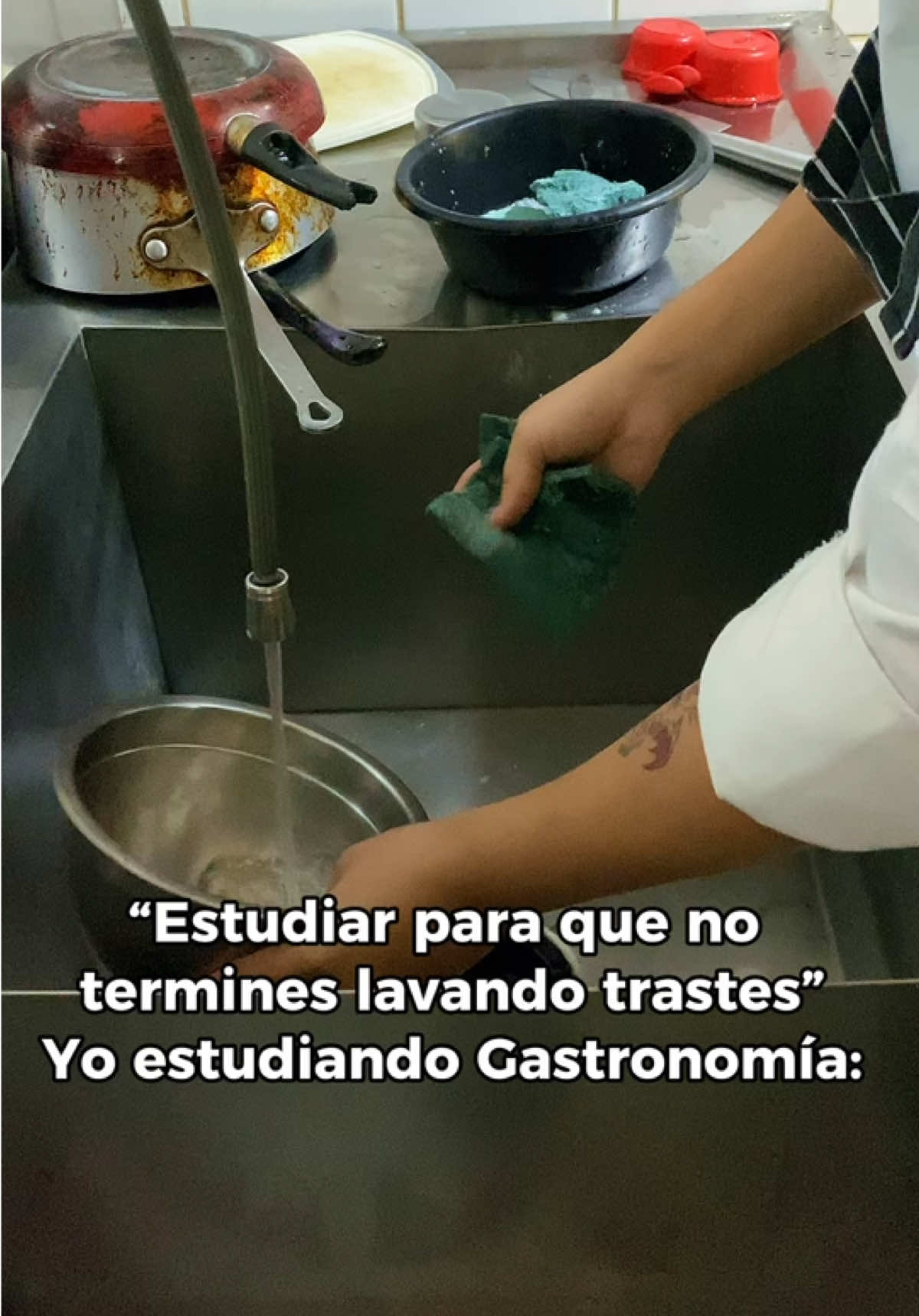 Todo vale la pena para ser un Chefsito 🧑‍🍳 ••• #orgullowashington #gastronomia #chef #humor #trend 