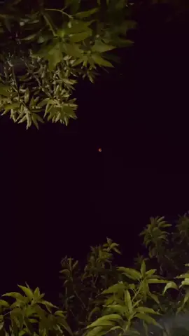 auu auuu #bulan #gerhanabulan #bloodmoon #viralvideo #fyp 