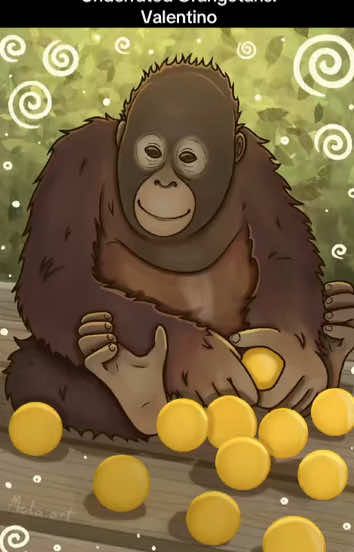 Underrated Orangutans: Valentino!  Valentino is such a silly little guy. I would love to be his friend!! #orangutans #primates #bosfoundation #monkeysoftiktok #orangutansoftiktok 