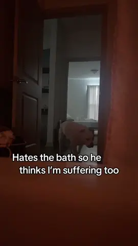 I ended up having to get out!!! 😐😐 #fypシ #foryoupage #dogsoftiktok #trend 