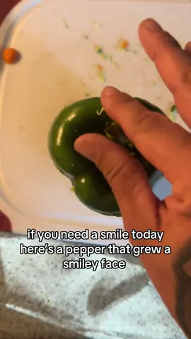 #homegrown #bellpepper #veggies #farmlife #smile #vibes #fyp 