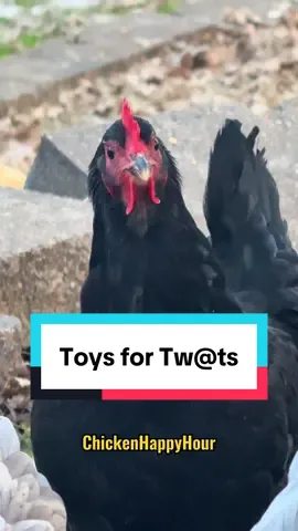 the Hens are feeling fowl today #jokes #dadjokes #funnyanimals #comedy #chickenhappyhour 