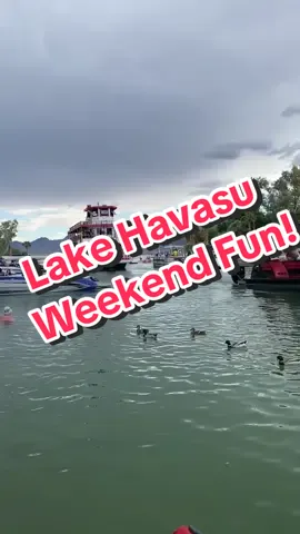 #tiktokcarhackscampaign  Lake Havasu City, Arizona 
