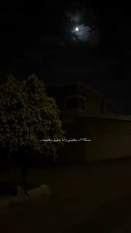وانا حيييل مغليييه🤍#explore #محمد_بن_فطيس #شعر #viraltiktok 