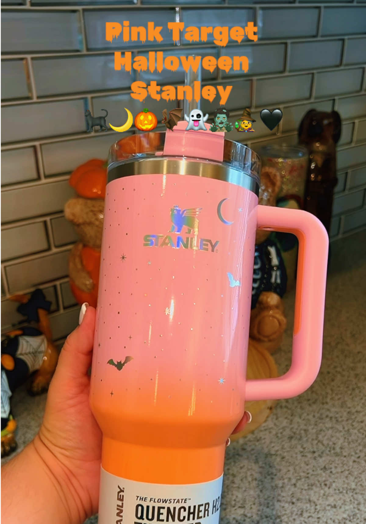 Thank you @target for the CUTEST @Stanley Brand collab 🧟‍♂️ #target #halloweenfinds #shopwithme #stanley #halloween #StanleyCup 
