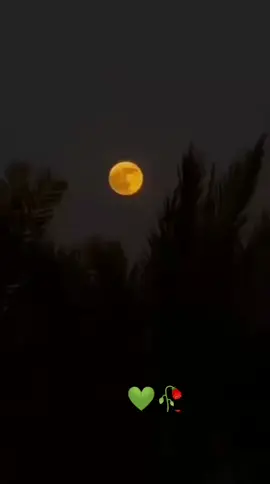 https://whatsapp.com/channel/0029Vb5ipyh1yT2HcGWEuz0P