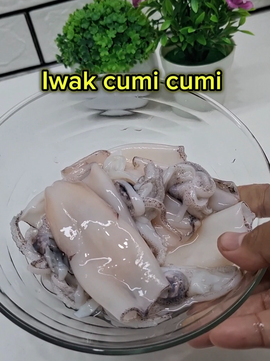 Sarapan karo jangan iwak cumi cumi, yen mbokku weruh ngono mesti njaluk soale enak banget mergo tak bumboni nganggo bumbu rempah @suparasaa.id