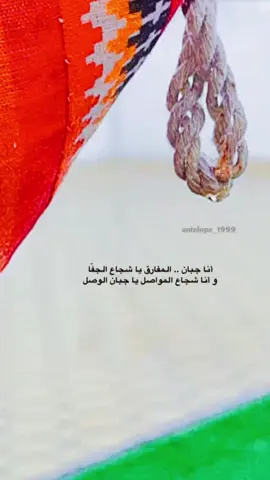 #شعر#تصميمي #تصويري#إكسبلوررررررر_explore 