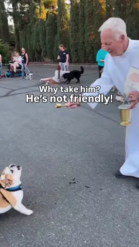 Not every dog is friendly with strangers or all strangers. And that’s ok. So often pet parents want their dog to be something they aren’t, and they put their dog in situations they don’t want to be in and shouldn’t be in. Respect the dog and be realistic. #dogbehaviortips #reactivedog #anxiousdog #anxiousdogsoftiktok 