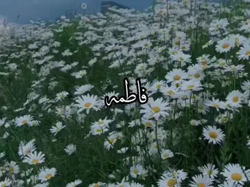 ترند بأسم فاطمه🫶🏻