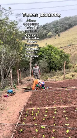 ULTIMO DIA DA NOSSA 1a HORTA #organica #horta #agricultura #roça 