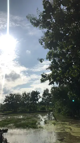 ส่วนที่แ 16 #เทรนวันนี้ #วิวบ้านนอก🍃 #ท้องฟ้า⛅🌈 