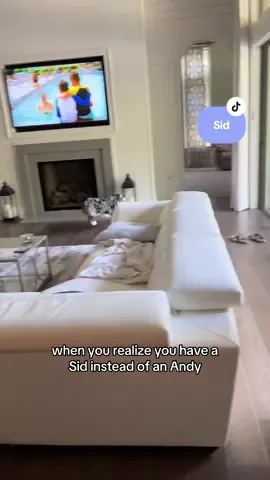 #dog #disney #funnyvideos #PetsOfTikTok #dogsoftiktok 