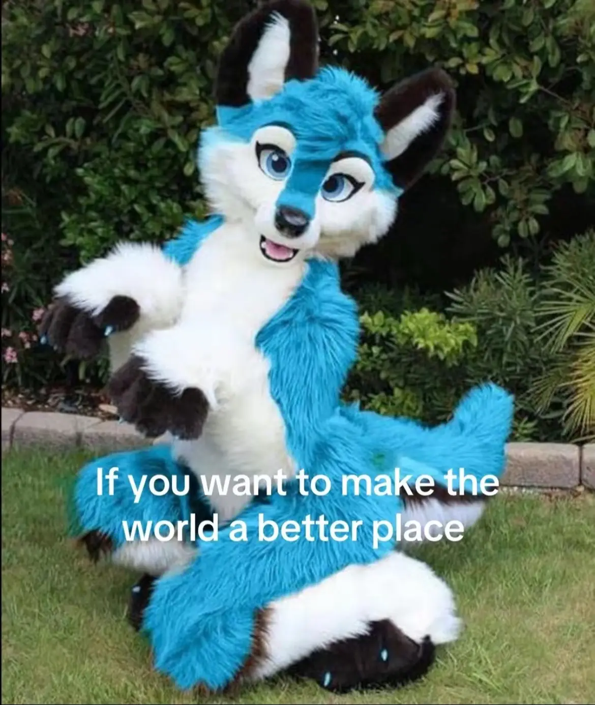 @byce67 #fyp #furry 