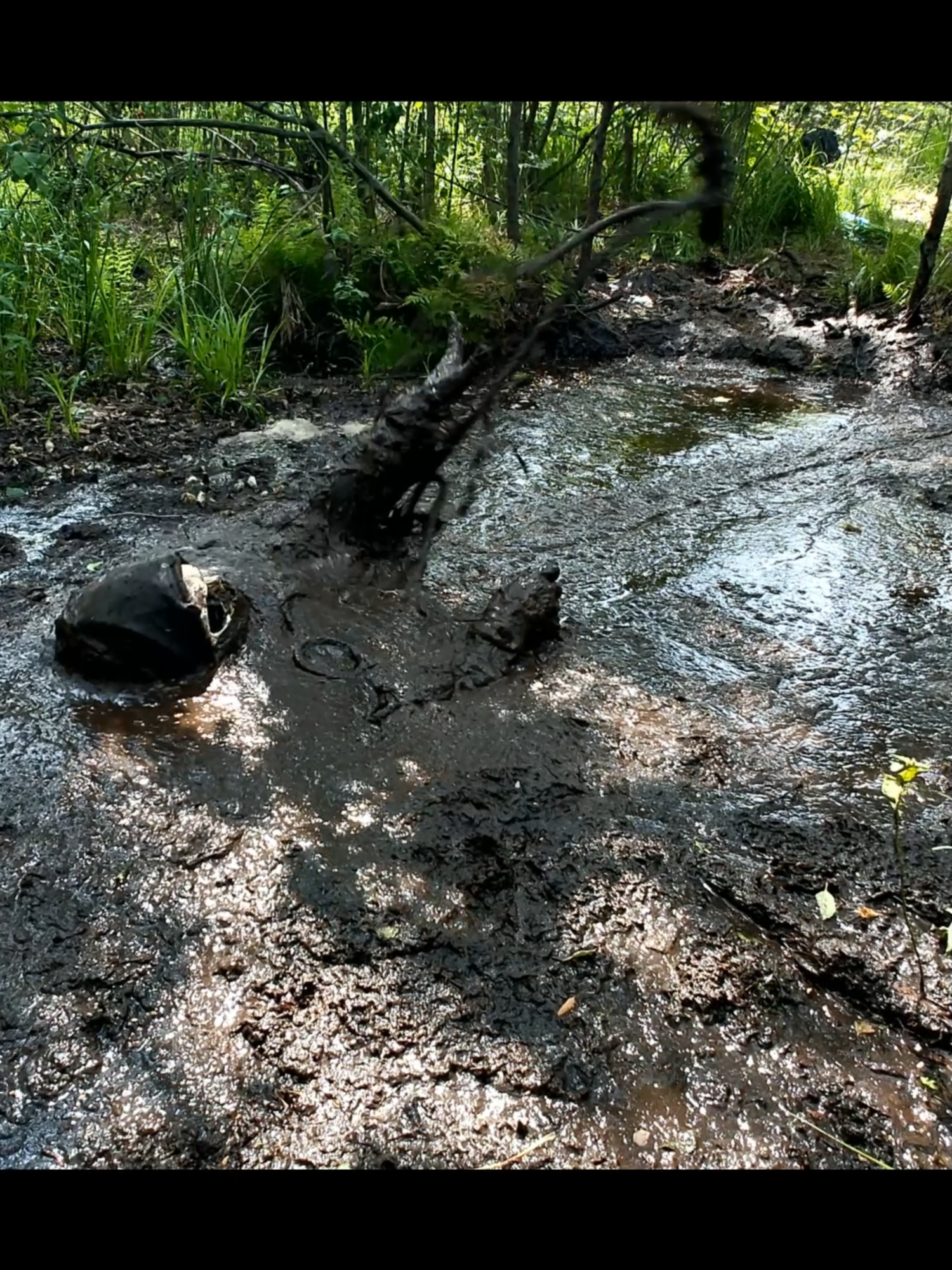 BOG SURVIVAL TIPS & TRICKS👍💚💀 (exclusive unreleased footage from day 6-1) #quicksand #Bog #nature #survival #scary #BogJumping #cavediving #gross #BogTok #ExtremeSport #fyp #Viral #challenge #scarystories