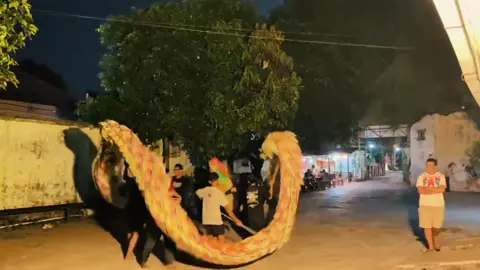 STEB BY STEB💪✊️#barongsaitiktok #singamutiara #trending #viral #beranda 