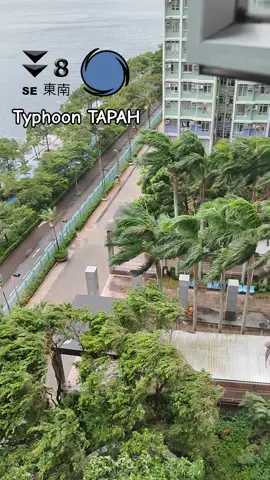 Topan Tapah berada di pinggir barat daya berjarak sekitar 170km dari daratan hongkong pada hari senin 8 september 2025 pagi. Sinyal badai no. 8 sudah di keluarkan kemarin malam sekitar pukul 9.20pm.  Bagaimana di tempat kalian? Stay save semua #typhoon #typhoontapah #hongkong #fyp #pmihongkong 
