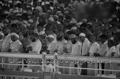 #قران #تلاوة #سعود_الشريم #quran #islam 
