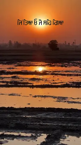 #punjabishortvideos #punjabitiktok #viraltiktok 