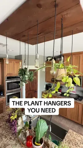 Who knew a 2pk of plant hangers could brighten up my kitchen like this! 🪴 #plantsoftiktok #planthanger 