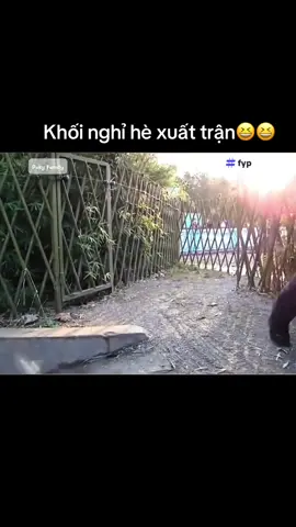 Khối nghỉ hè xuất trận😆😆😆Follow kênh để xem nhiều video về gấu trúc nhé🥰#panda #duet #viral #cute #funny 