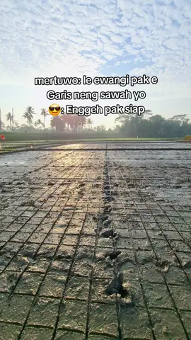 begini mertua pasti suka wkwk#lampung #peternakmuda #petanimuda #petaniindonesia🇮🇩🇮🇩🇮🇩🌿🌿 