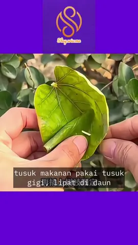 Tips simpel biar urusan sepele jadi gampang ✨  #LifeHacks #TipsRumah #TrikSeharihari #TipsAndTricks #HidupMudah