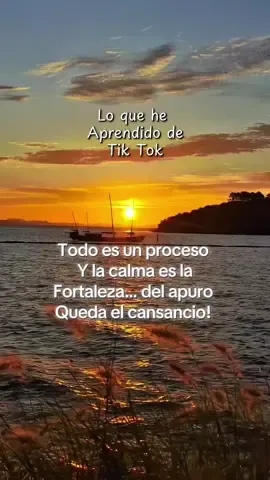 Todos es un proceso y llegará nuestro momento!  #tipstiktok #crecerentiktok #estrategiasdemarketing #seguidoresorganicos 