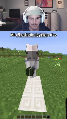 @weeetch Minecraft block telepathy #Minecraft #minecraftmemes #minecrafter 