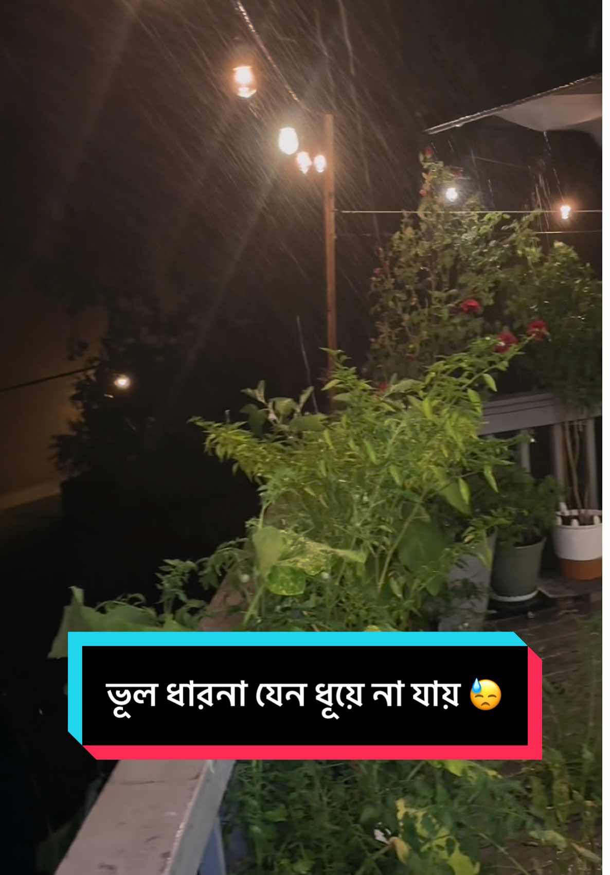 #বৃষ্টির_কবিতা #nspark22 #foryoupage #trending 
