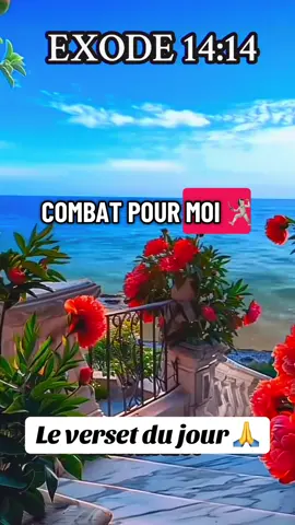 Deutéronome 20:4    Car l'Éternel, votre Dieu, marche avec vous, pour combattre vos ennemis, pour vous sauver. #creatorsearchinsights #exodus1414 🤺🥷🤺#mercijesuspourtaprotection🙏🙏🙏 #prierepuissante ☄️#versetdujour 🙏 
