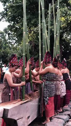 Tradisi Mulud Adat Bayan Lombok utara #tradisilombokksasak #muludadatbayan #bayan 