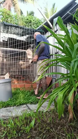 tý chùa 63  nghề quét chuồng gà 🐔  mới nghề chín của mình nghe mọi người 👌💯 còn mấy nghề khác là nghề phụ kiếm thêm thôi 💯👌