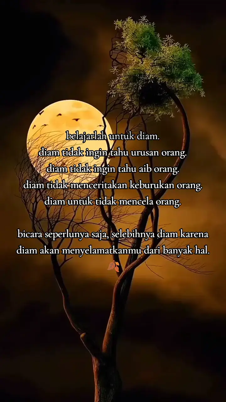 #katakatamotivasi #beranda #fyp #katabijak 