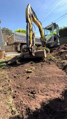 chuẩn bị vào mùa hè làm bê tông cực lắm..#sydney #concrete #sanvuon 